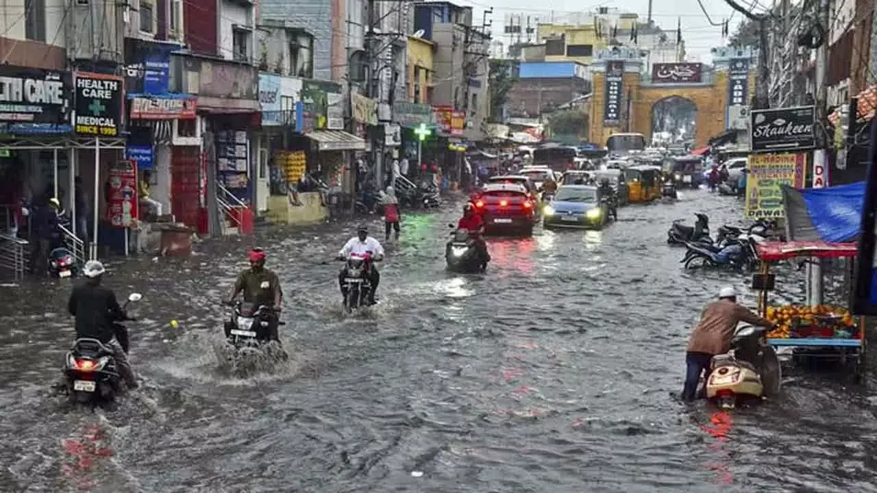 1946494-gx0n9ibsayq8ac