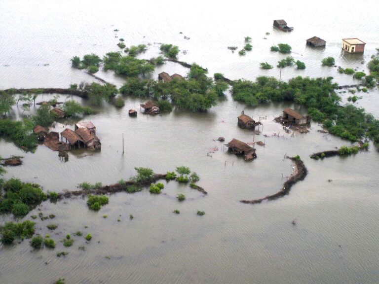 ANI-Pakistans-Punjab-faces-major-floods-crisis-97-people-killed