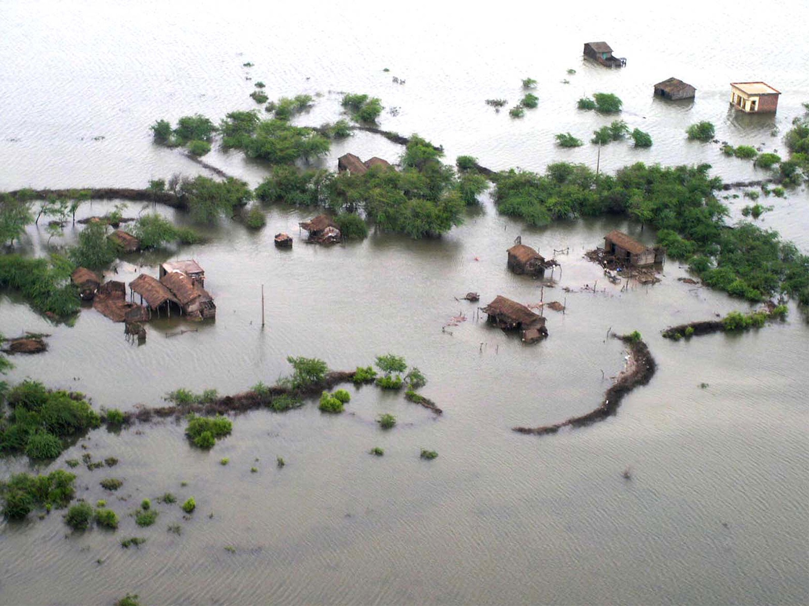 ANI-Pakistans-Punjab-faces-major-floods-crisis-97-people-killed